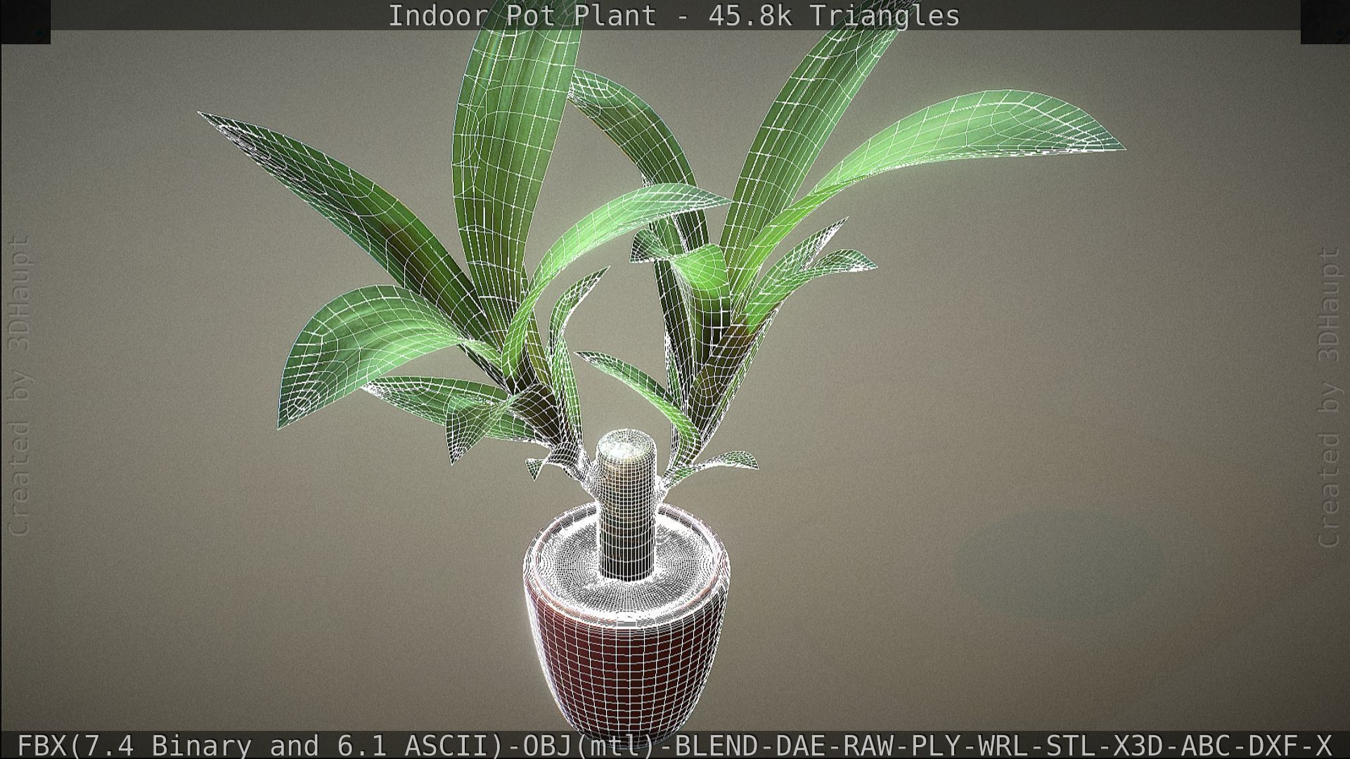 Indoor Pot Plant 1 Low-poly 3D model_65
