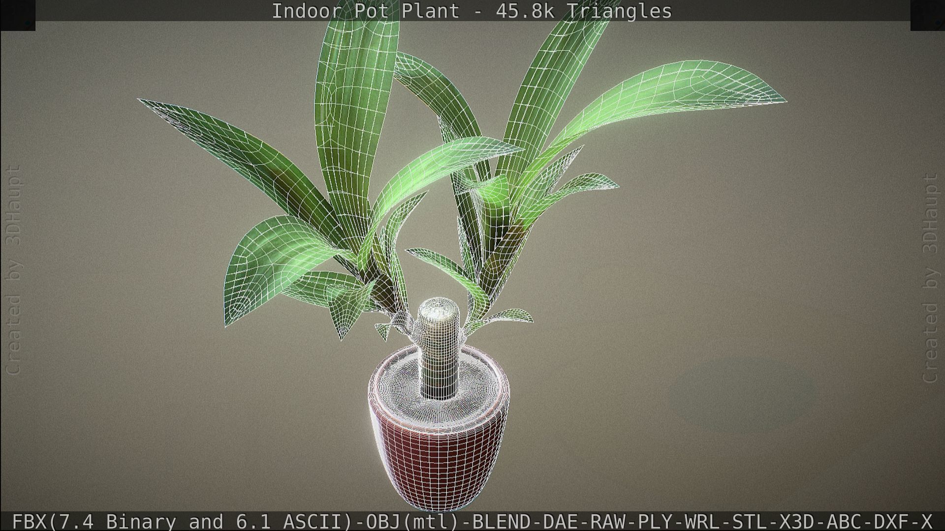 Indoor Pot Plant 1 Low-poly 3D model_84