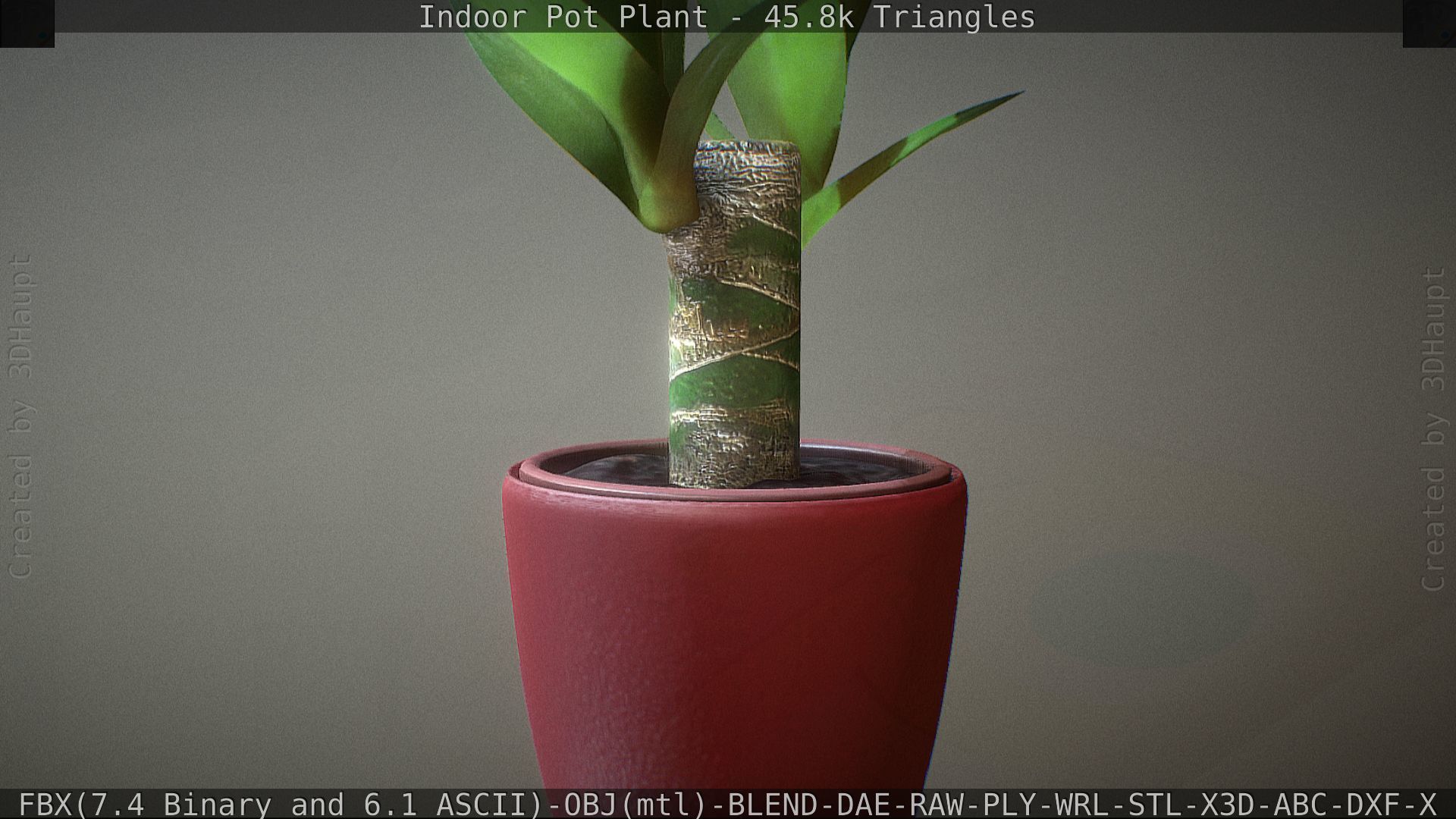 Indoor Pot Plant 1 Low-poly 3D model_44