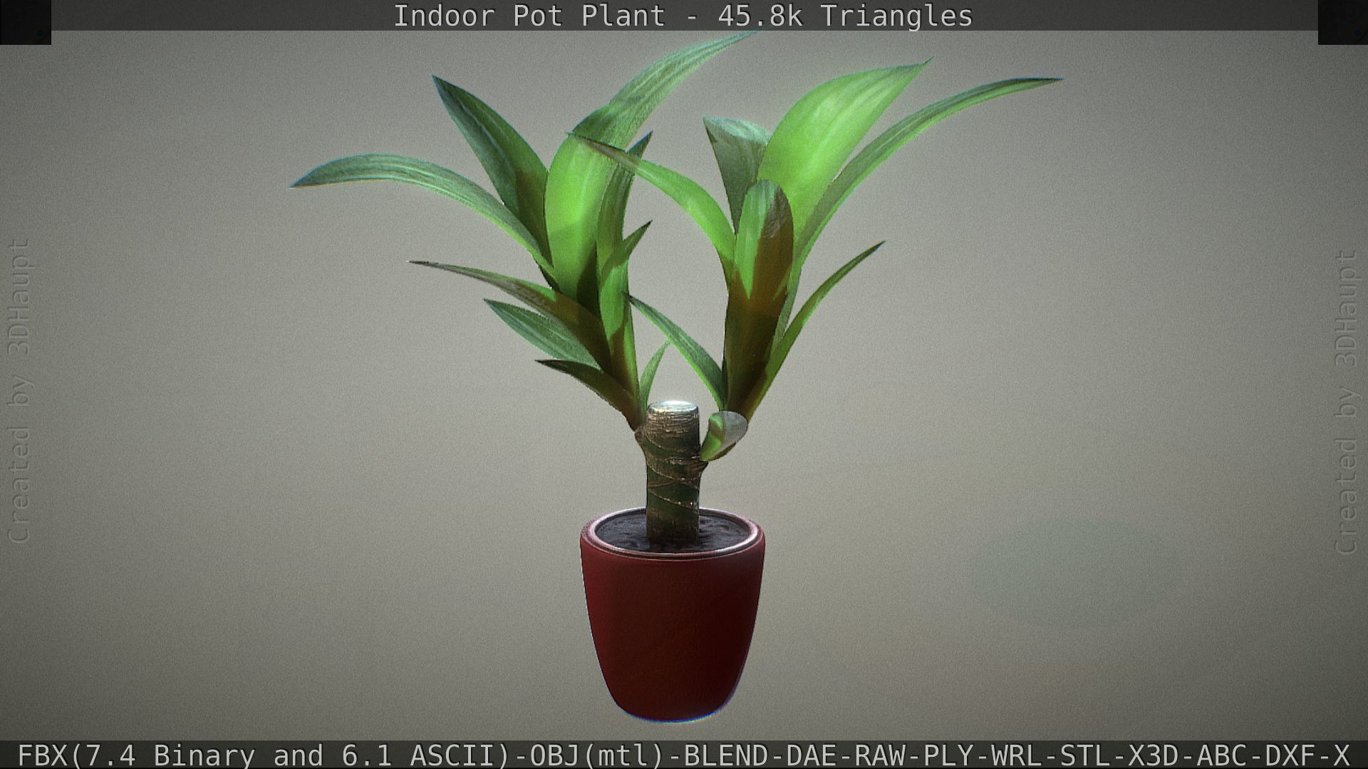 Indoor Pot Plant 1 Low-poly 3D model_25