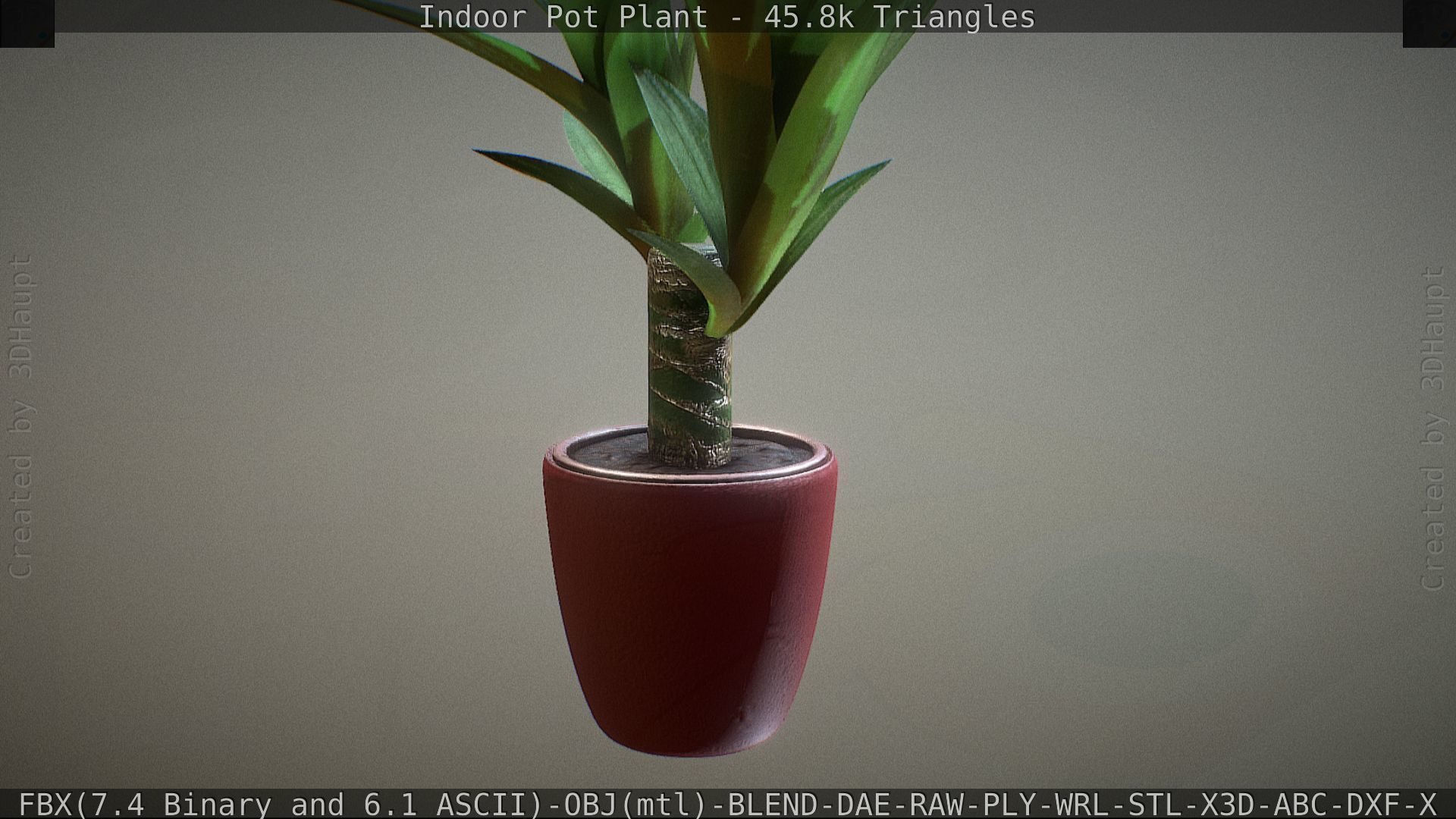 Indoor Pot Plant 1 Low-poly 3D model_41