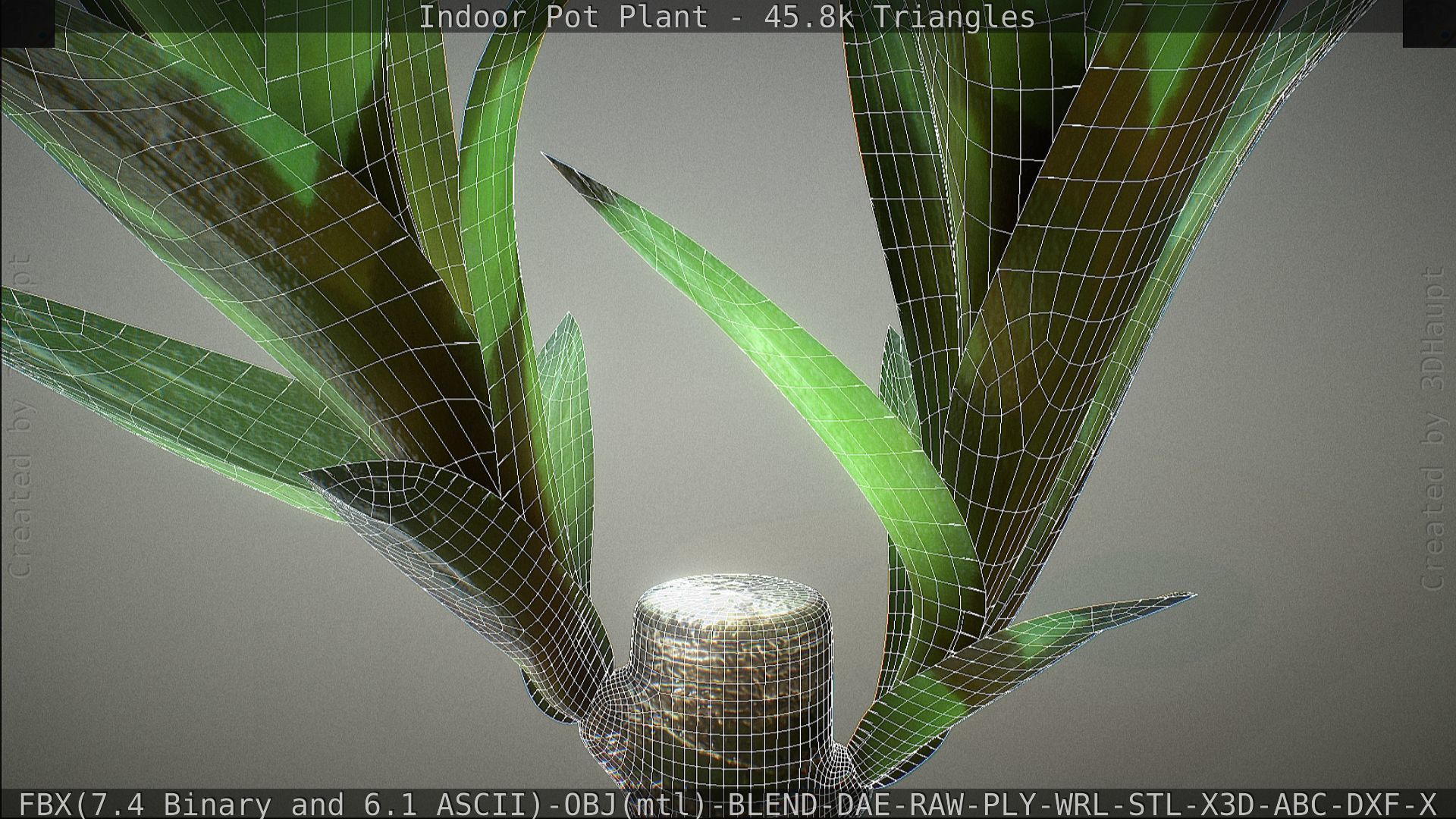 Indoor Pot Plant 1 Low-poly 3D model_83