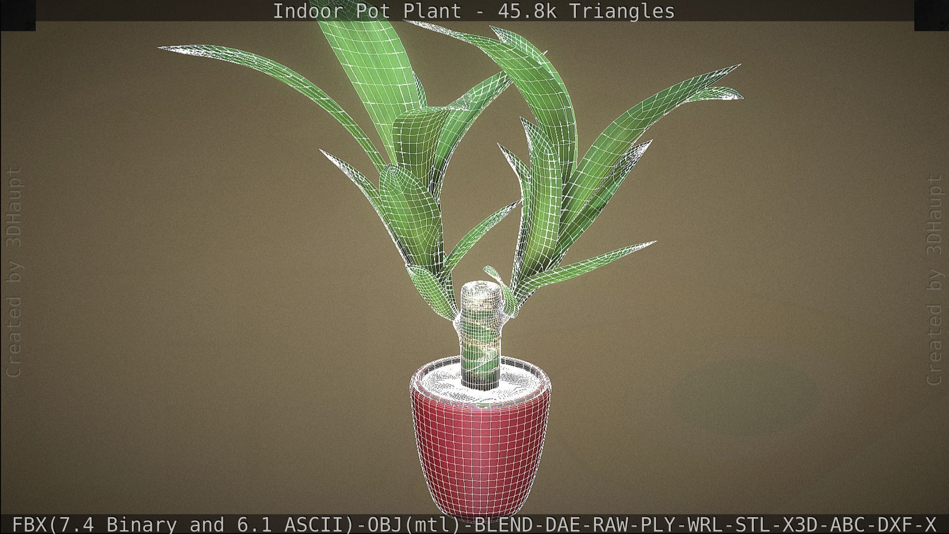 Indoor Pot Plant 1 Low-poly 3D model_96