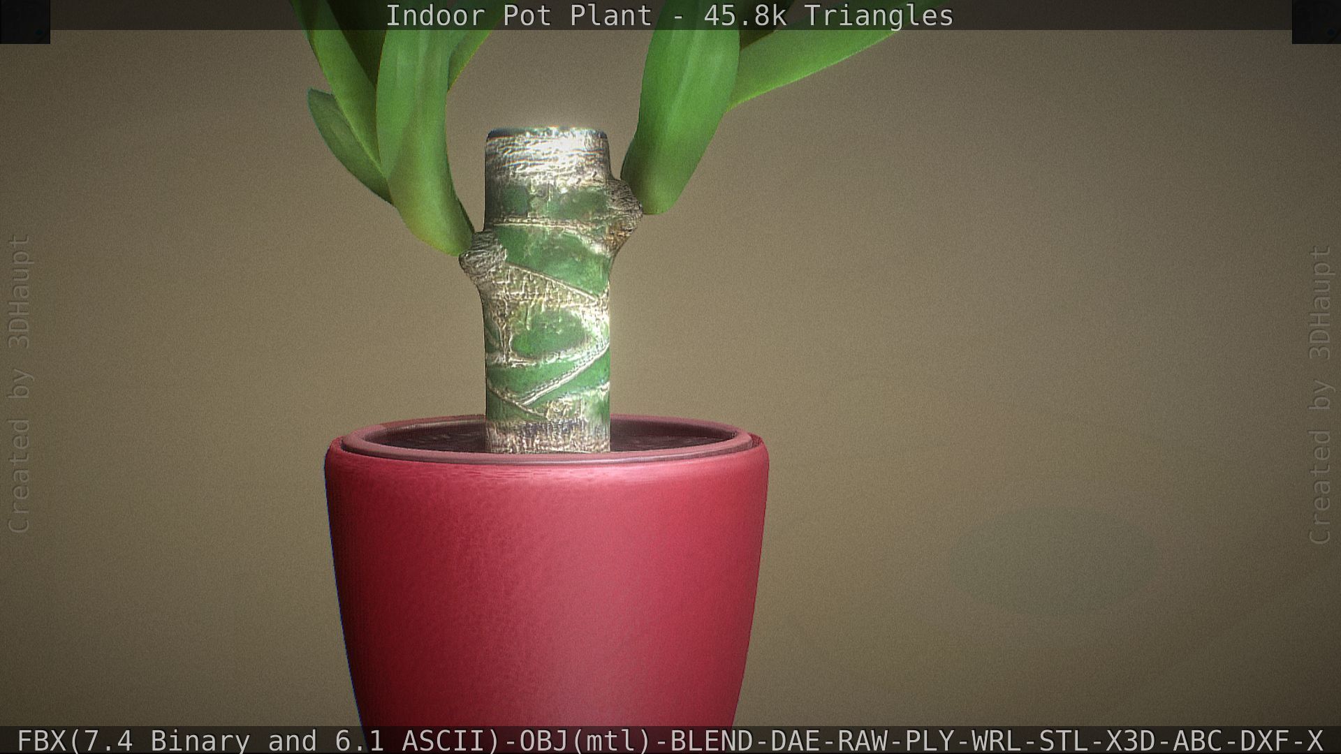 Indoor Pot Plant 1 Low-poly 3D model_45