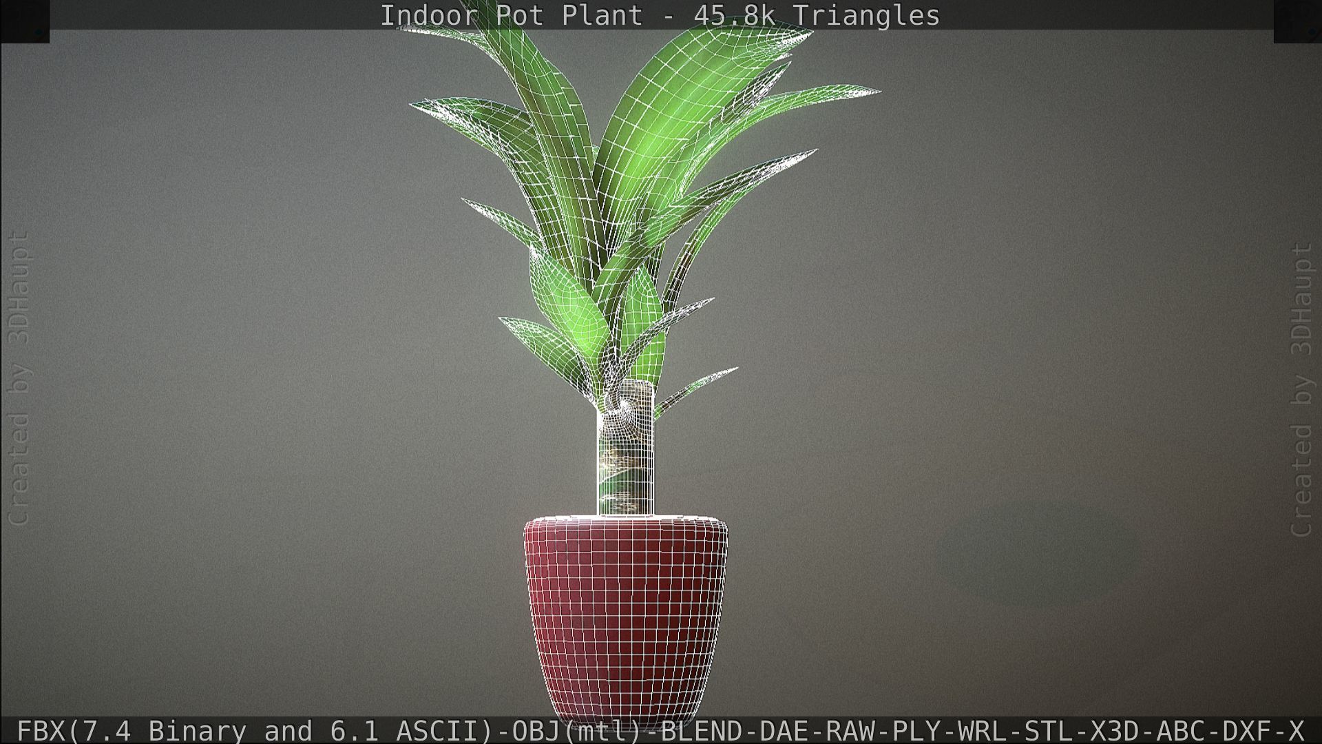 Indoor Pot Plant 1 Low-poly 3D model_93