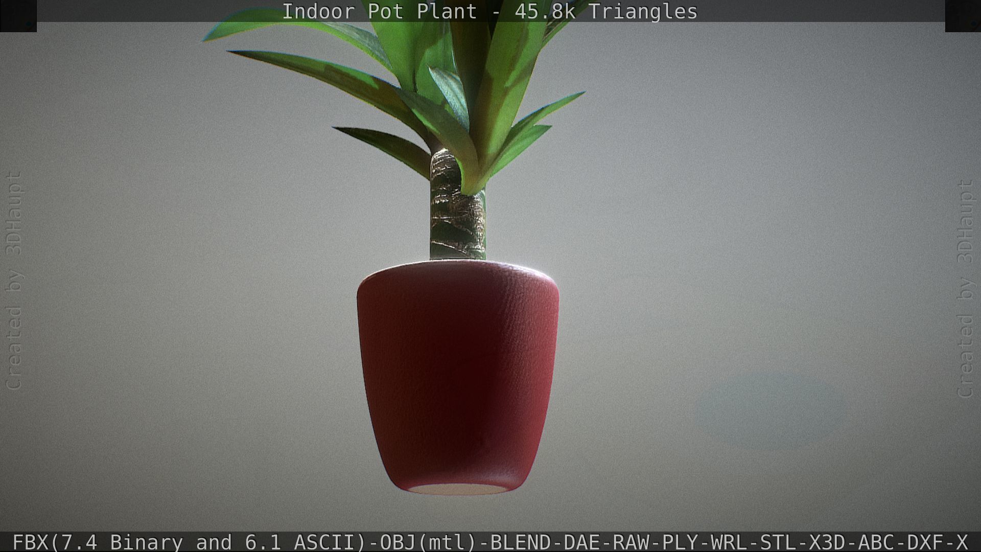 Indoor Pot Plant 1 Low-poly 3D model_42