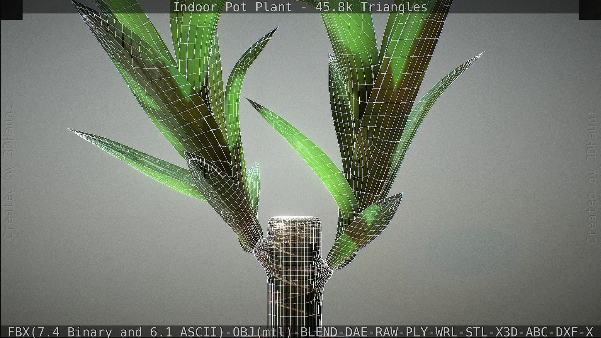 Indoor Pot Plant 1 Low-poly 3D model_86