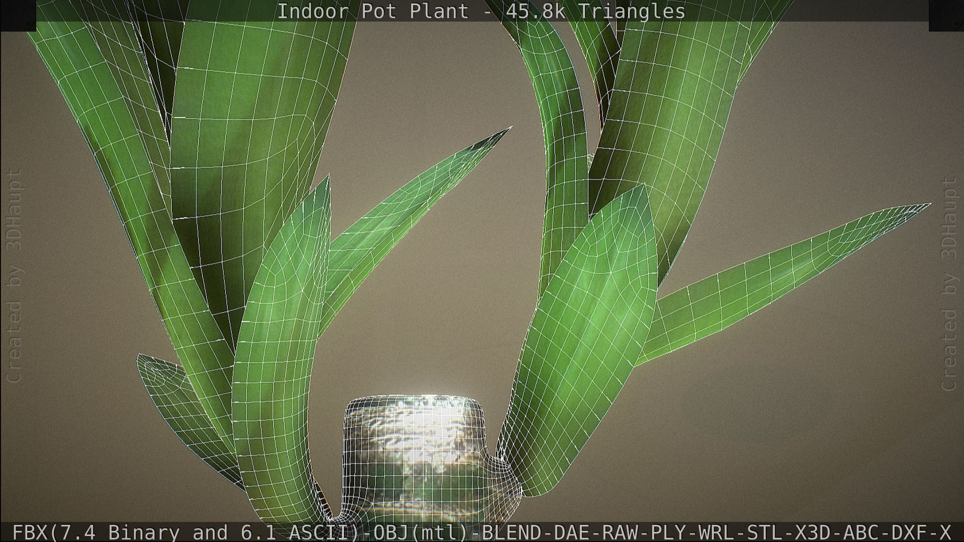 Indoor Pot Plant 1 Low-poly 3D model_76