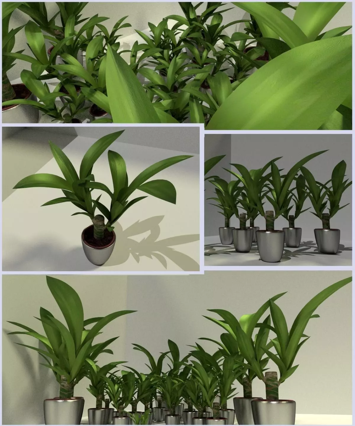 Indoor Pot Plant 1 Low-poly 3D model_0