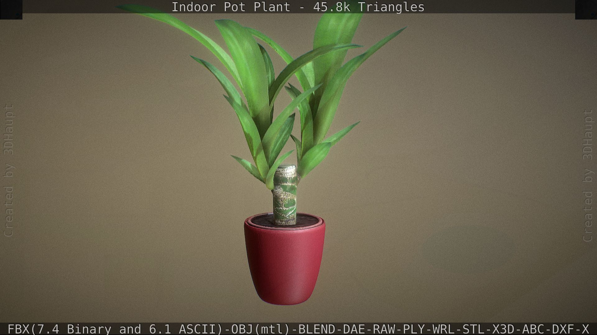 Indoor Pot Plant 1 Low-poly 3D model_62