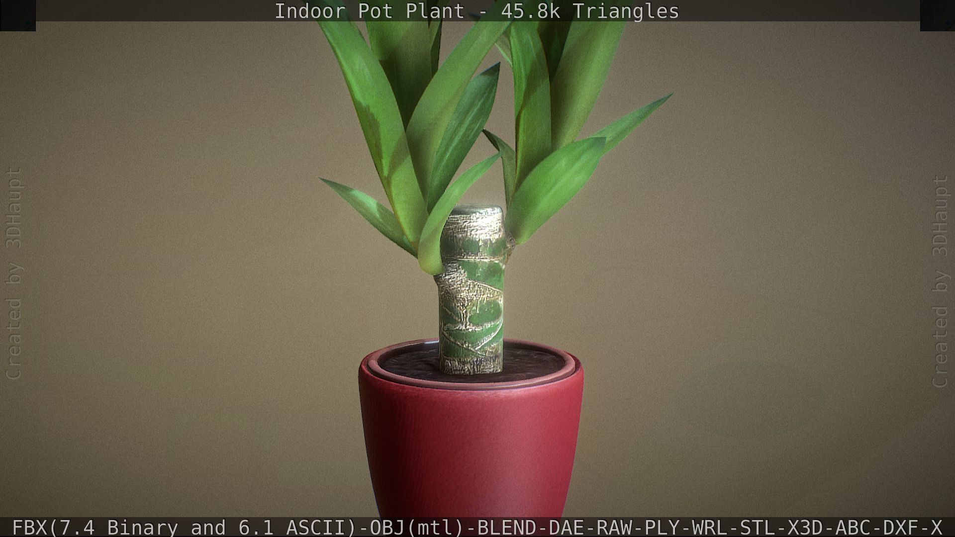 Indoor Pot Plant 1 Low-poly 3D model_50