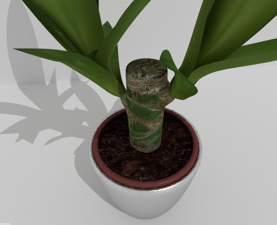 Indoor Pot Plant 1 Low-poly 3D model_7