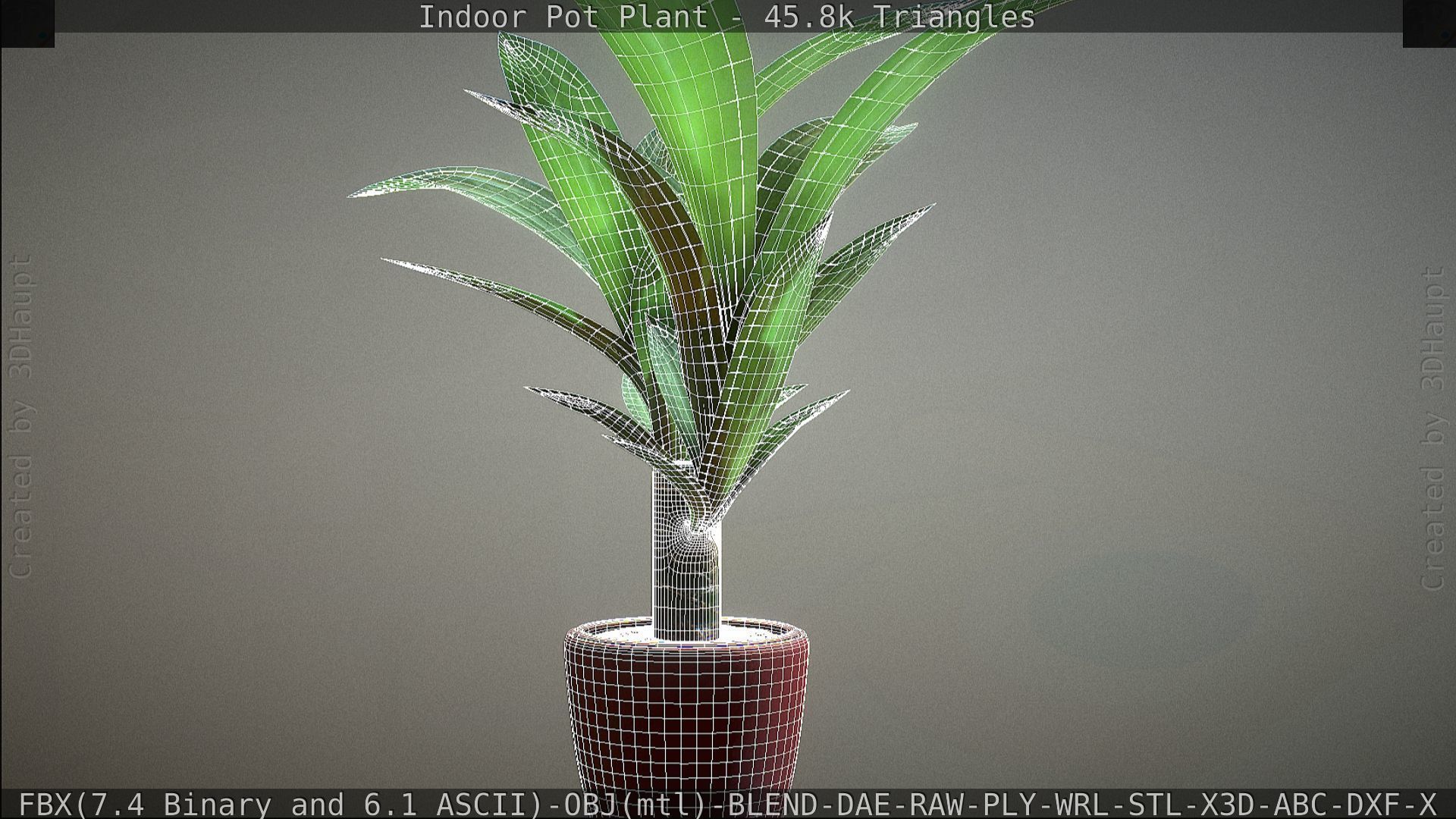 Indoor Pot Plant 1 Low-poly 3D model_89