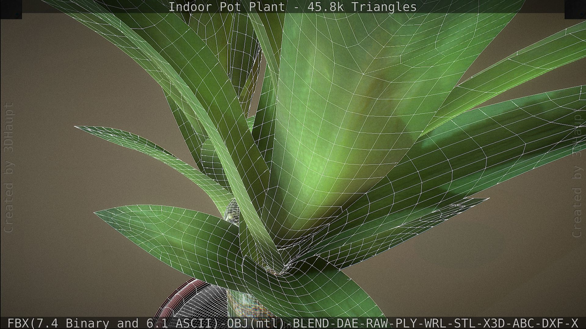Indoor Pot Plant 1 Low-poly 3D model_79