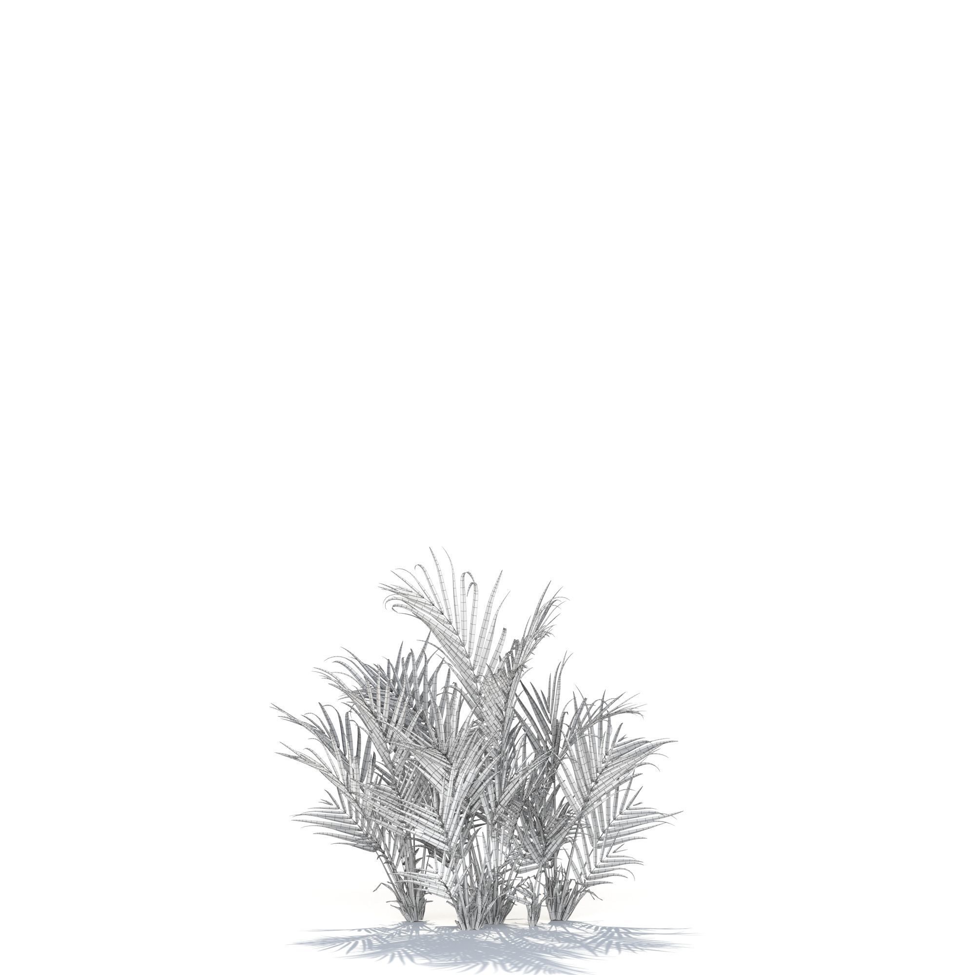 Zagg Dypsis palm 3D model_17