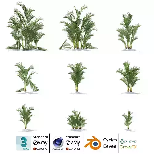 Zagg Dypsis palm 3D model