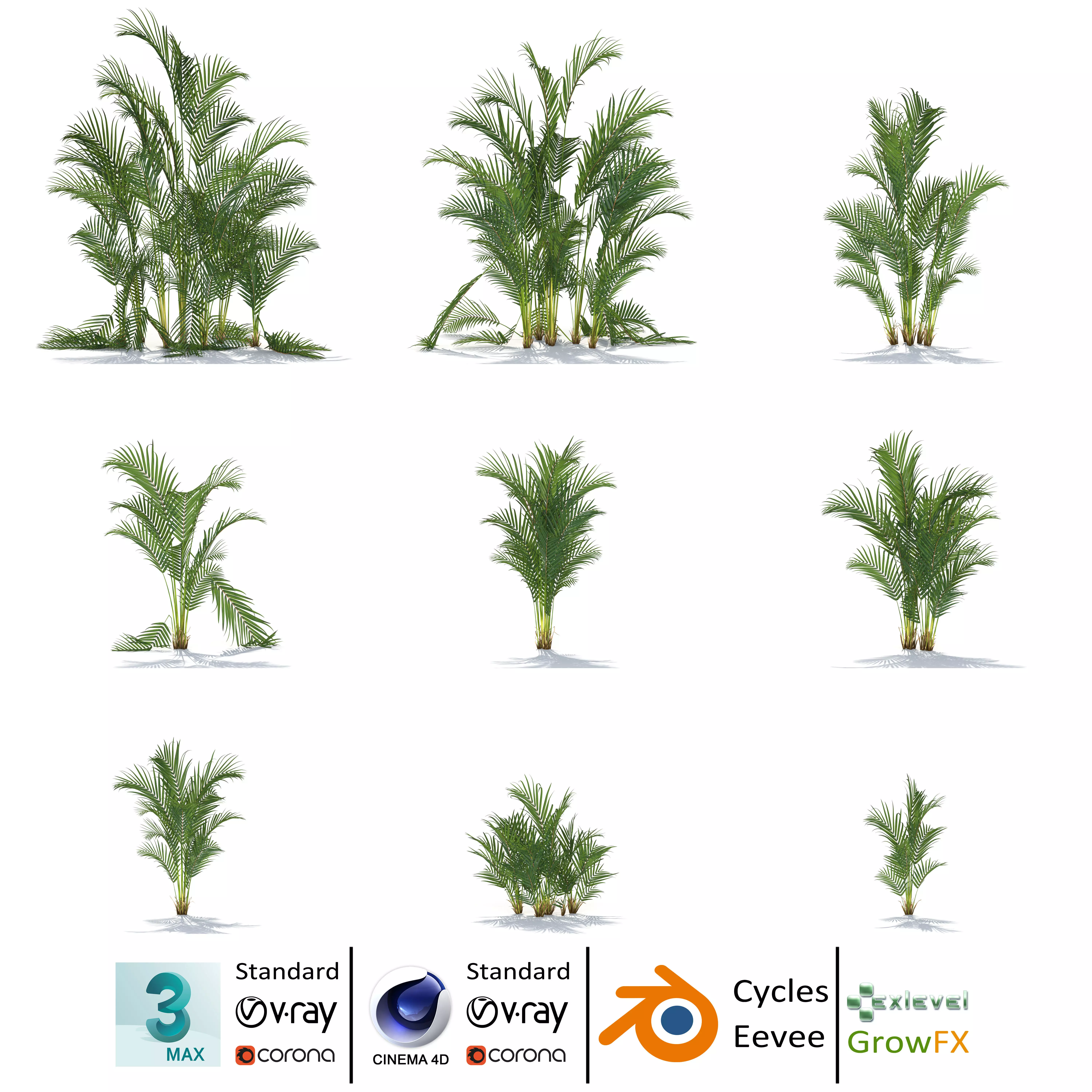 Zagg Dypsis palm 3D model_0