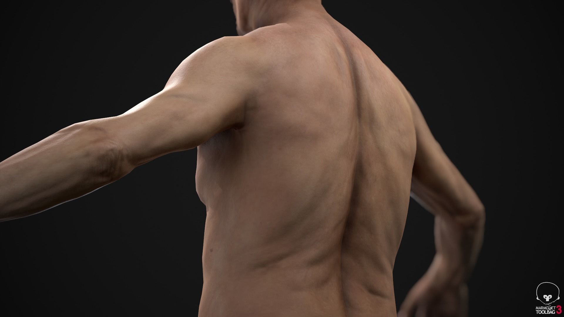 Different ages men pack 3D Model Collection_45