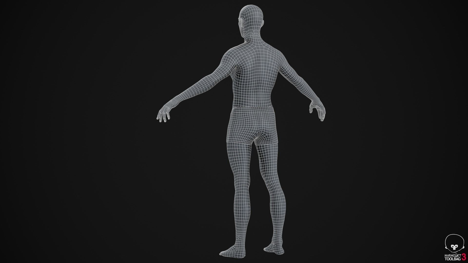 Different ages men pack 3D Model Collection_27