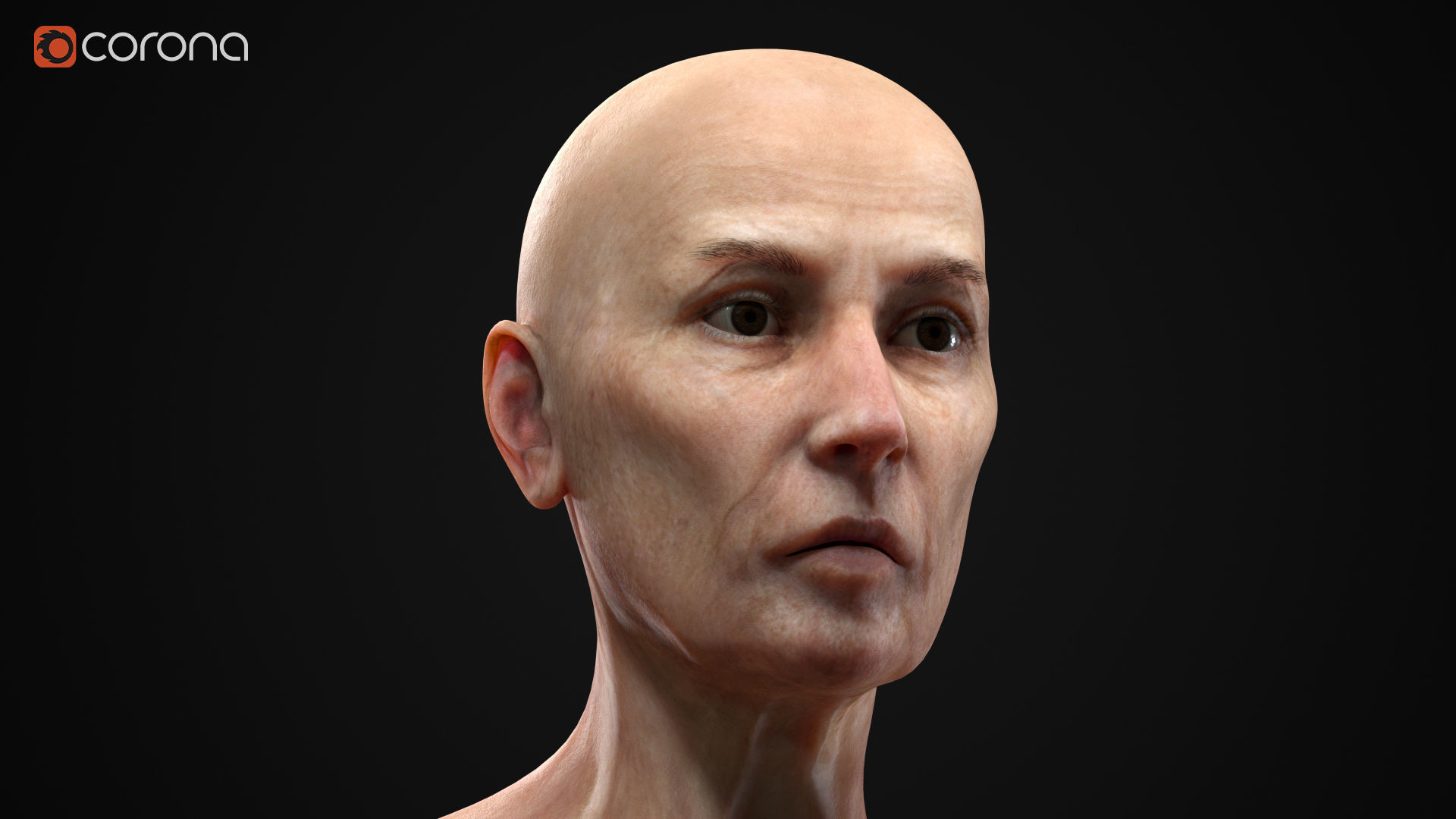 Different ages women pack 3D Model Collection_36