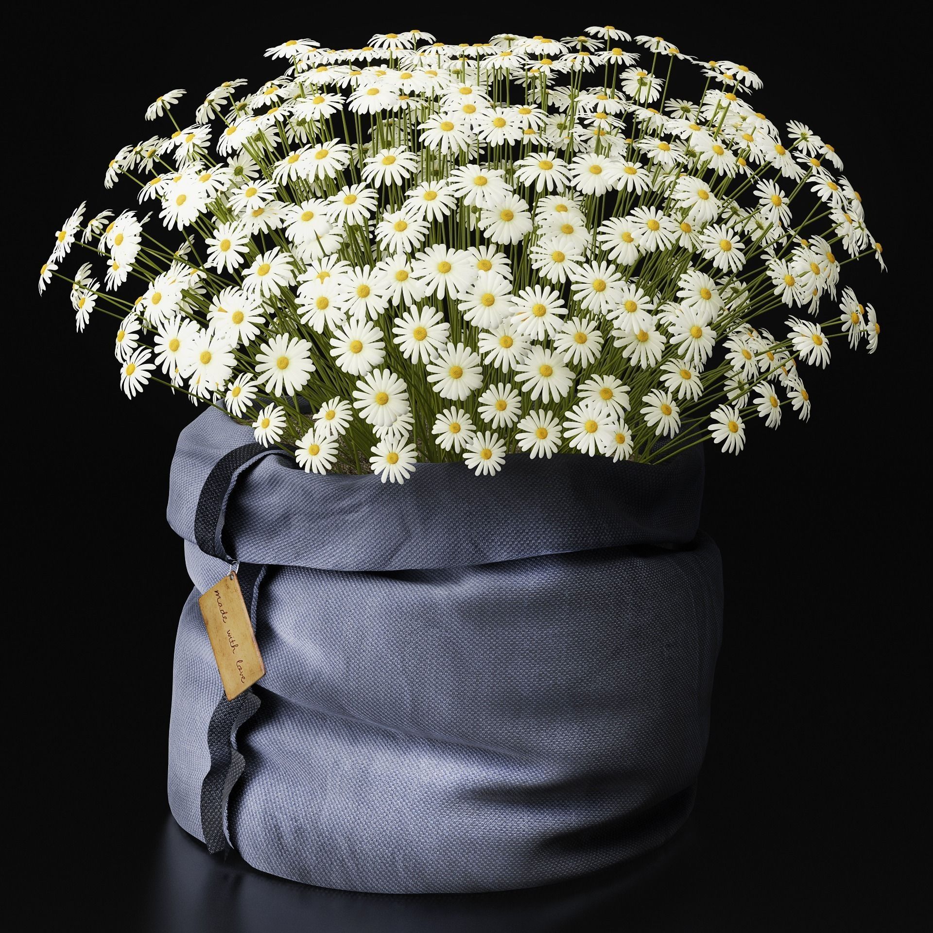 Chamomile daisies in bag 3D model_0