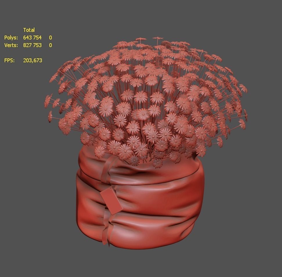 Chamomile daisies in bag 3D model_3