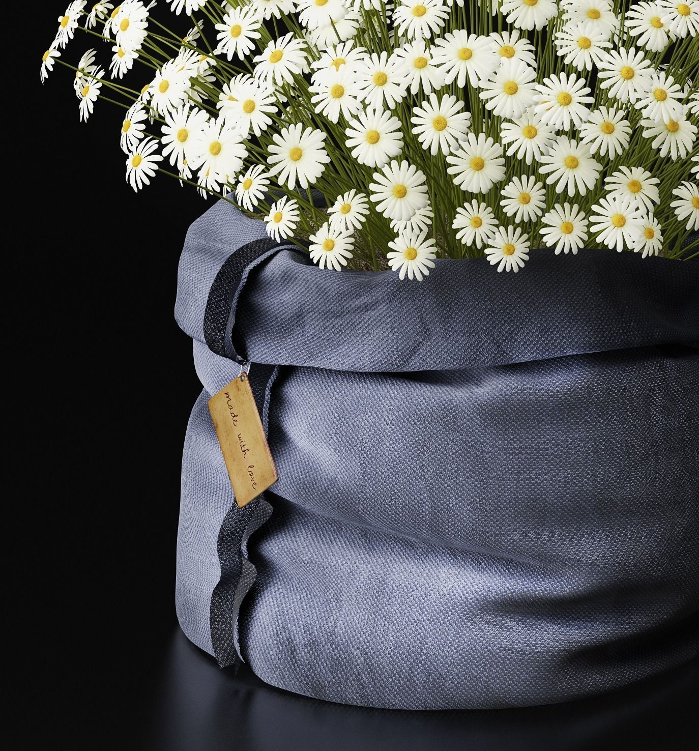 Chamomile daisies in bag 3D model_2