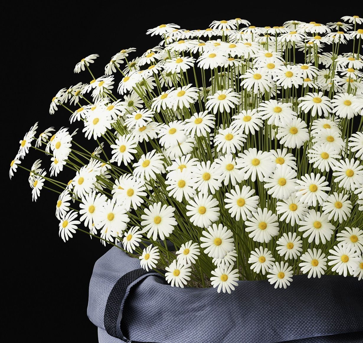 Chamomile daisies in bag 3D model_1