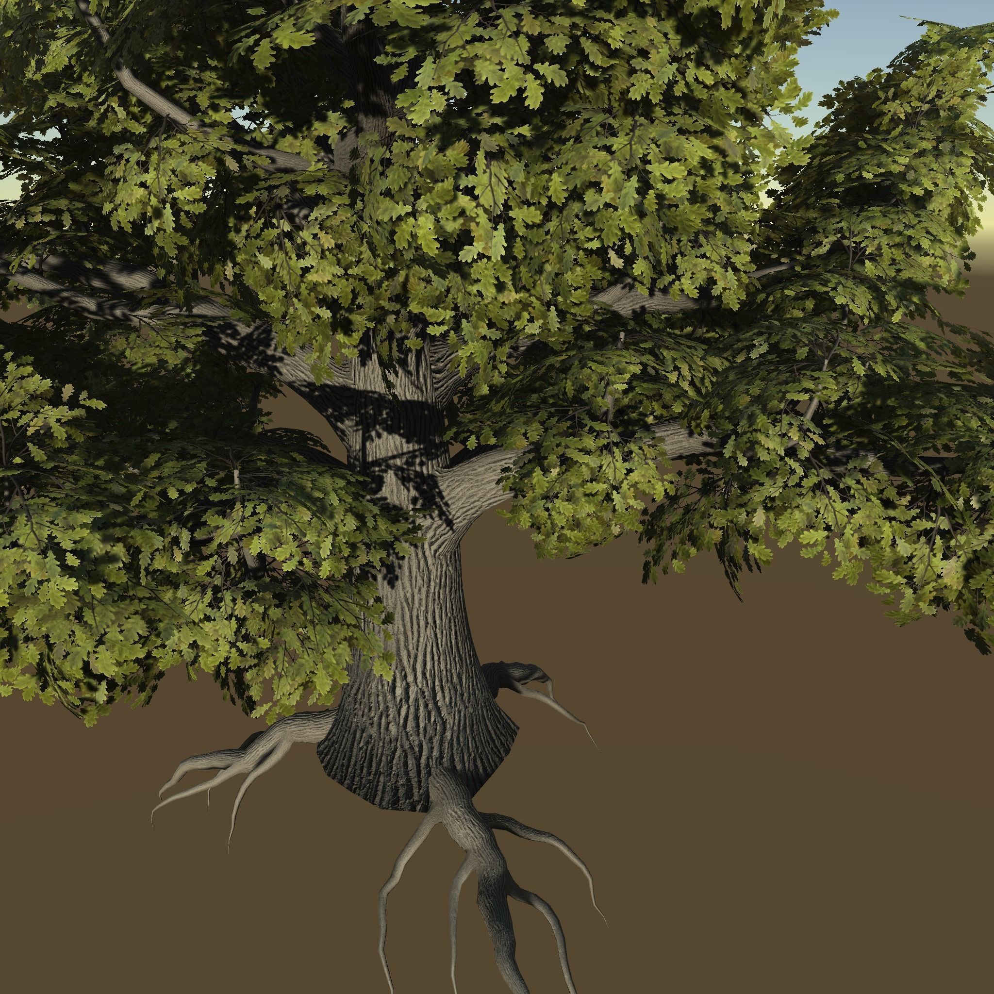 Game ready model old oak Low-poly 3D model_8