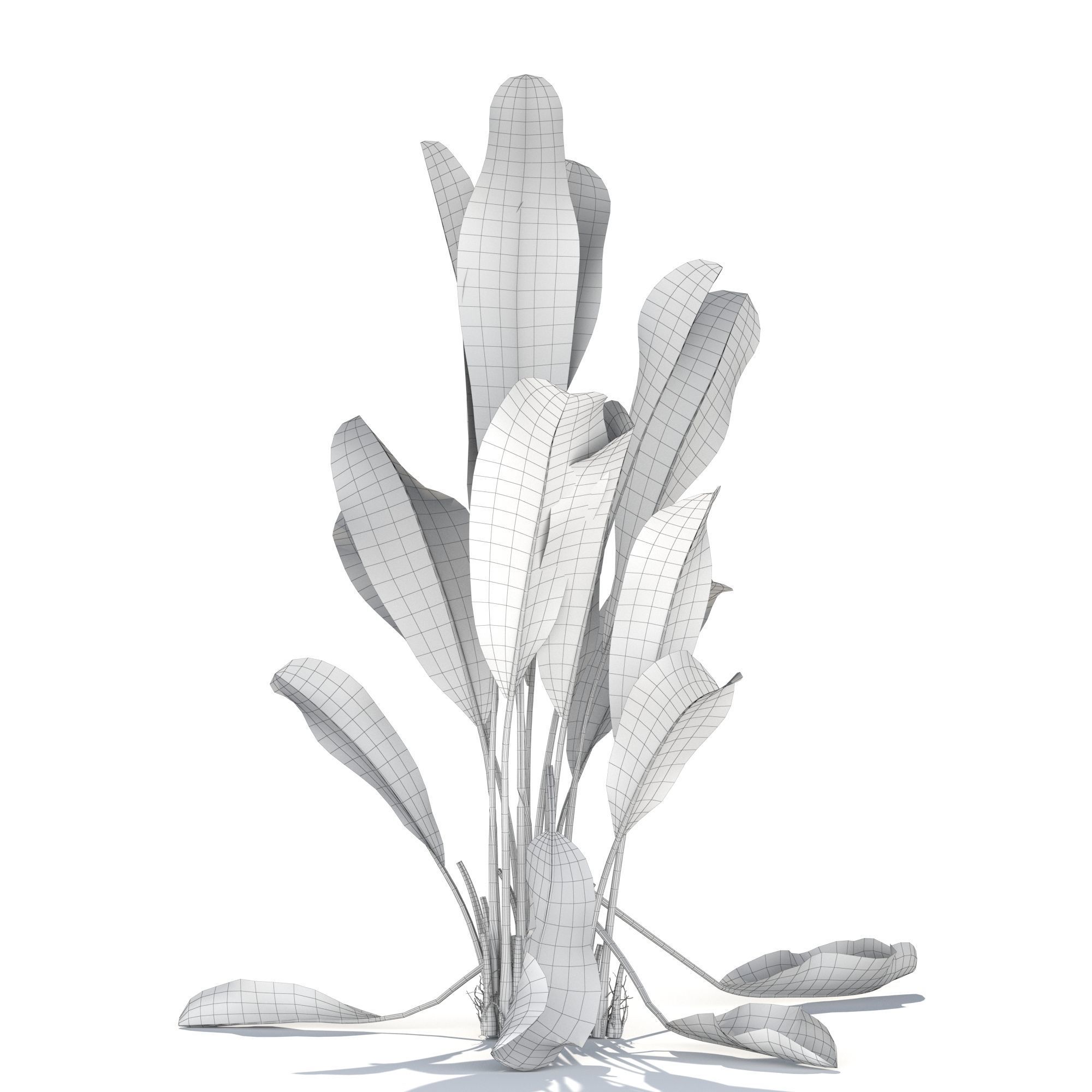Zagg Banana Palm 3D model_12