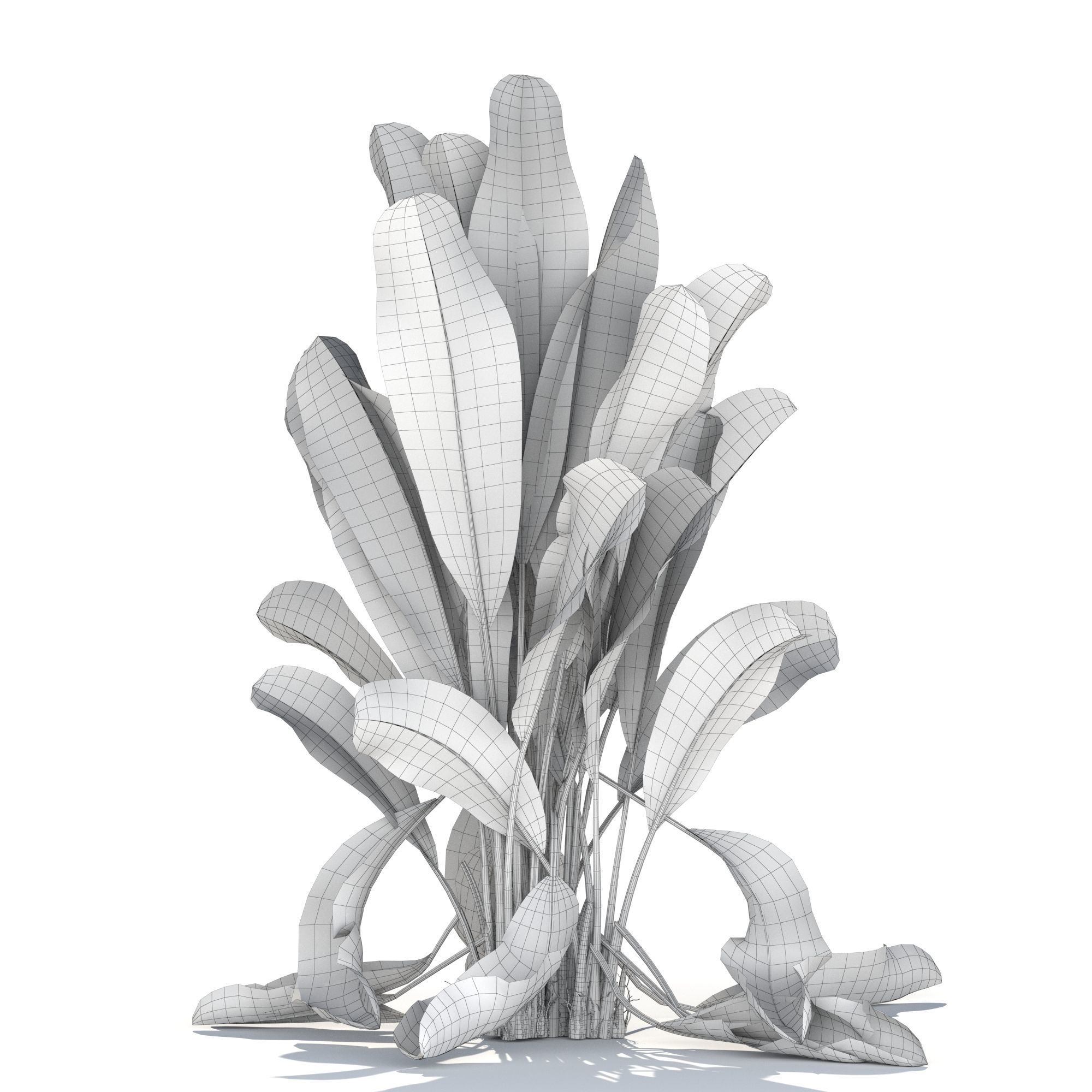 Zagg Banana Palm 3D model_11