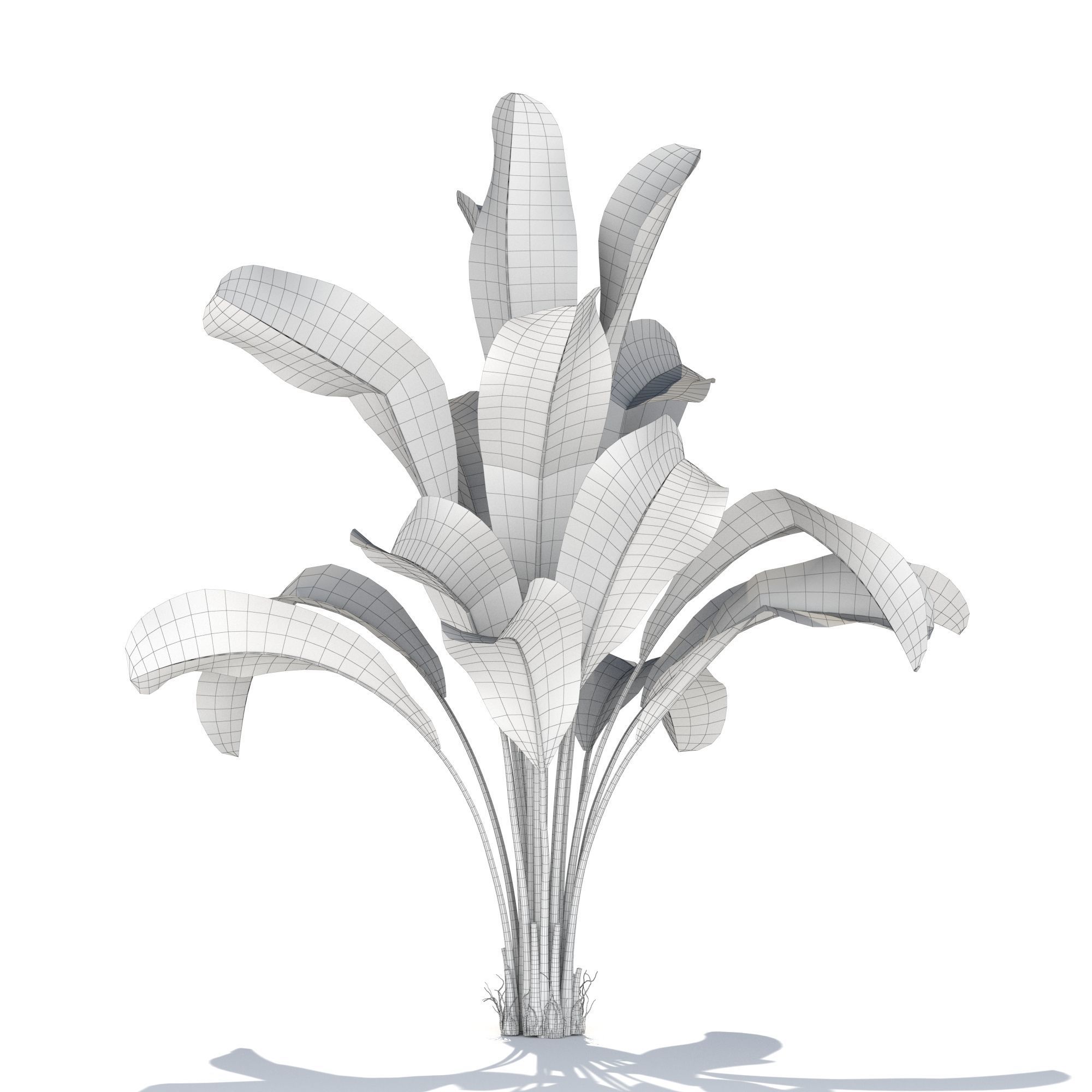 Zagg Banana Palm 3D model_13