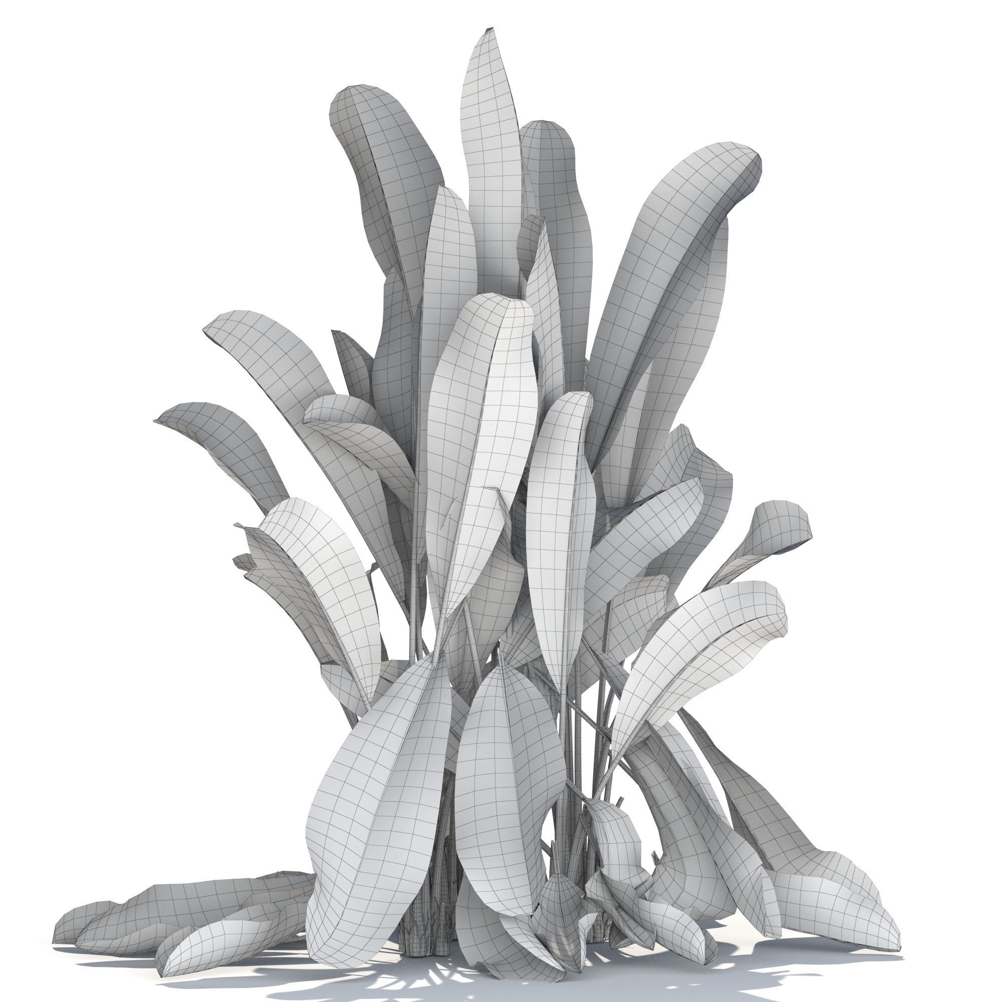 Zagg Banana Palm 3D model_10