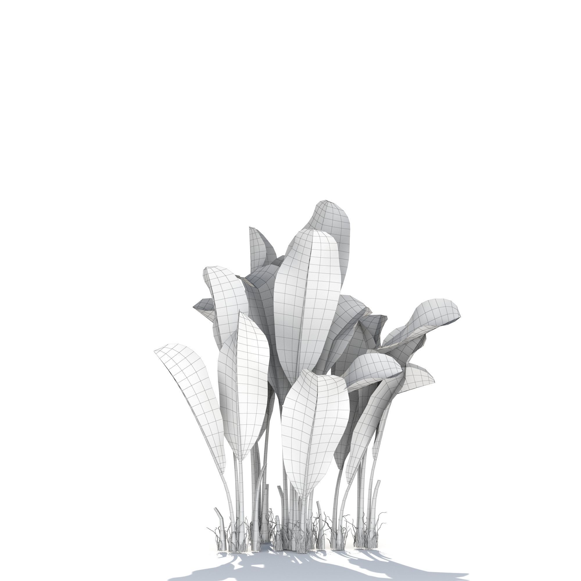 Zagg Banana Palm 3D model_16