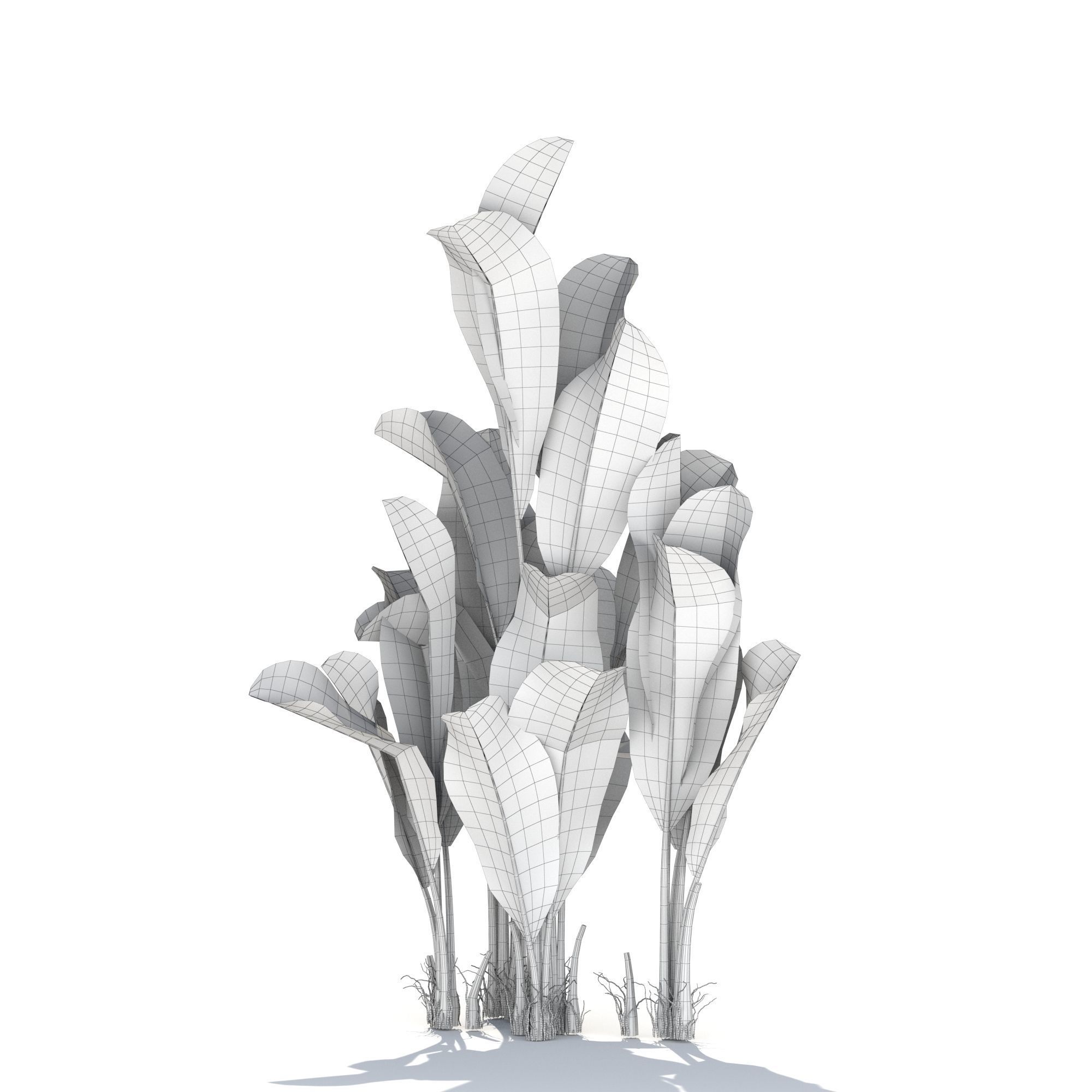 Zagg Banana Palm 3D model_15
