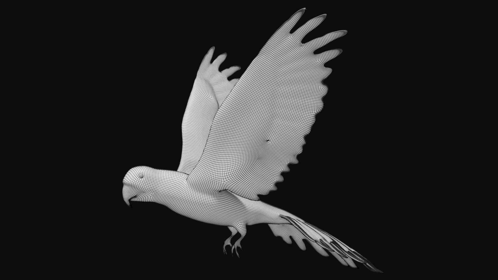 Macaw Parrot Low-poly 3D model_10