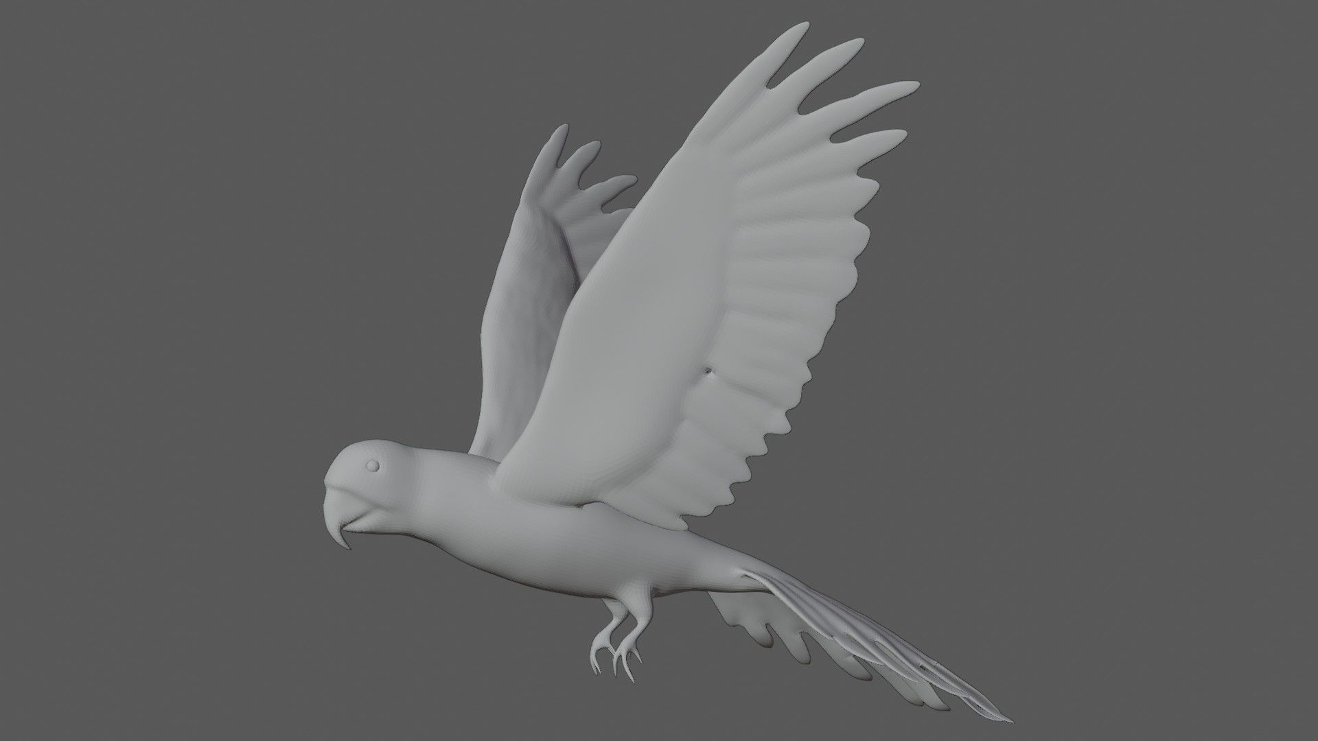 Macaw Parrot Low-poly 3D model_8
