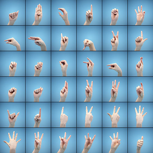 36 Hand Scans Low-poly 3D model