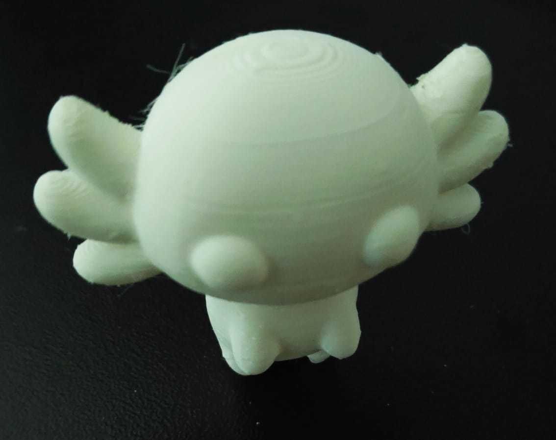 Cute Axolote 3D print model_9