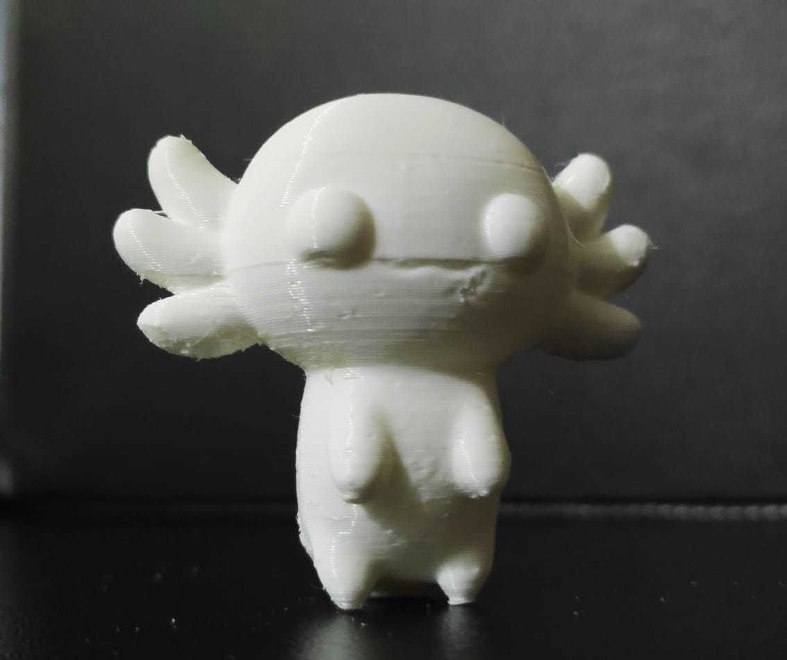 Cute Axolote 3D print model_3