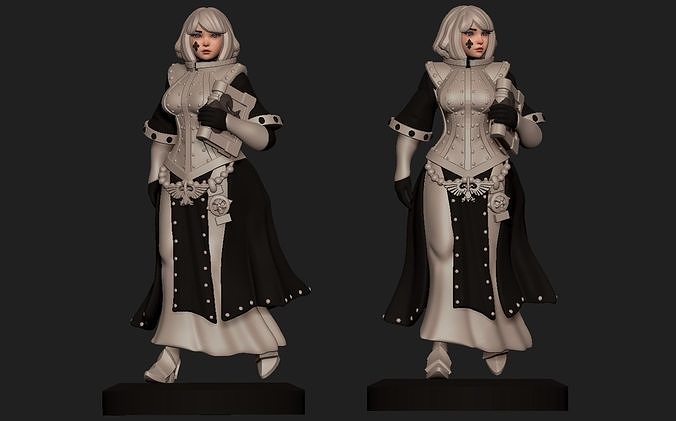 Space nun librarian 3D print model