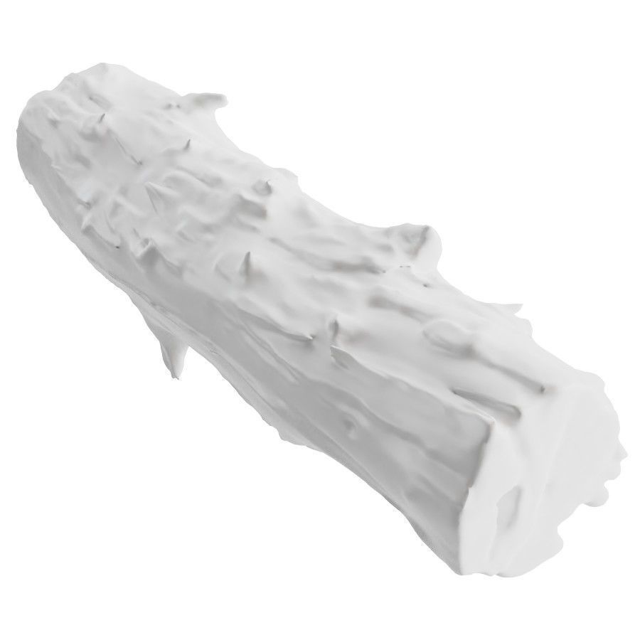 An Old Wooden Log 3D model_5