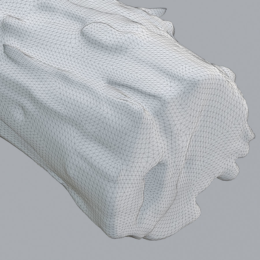 An Old Wooden Log 3D model_6