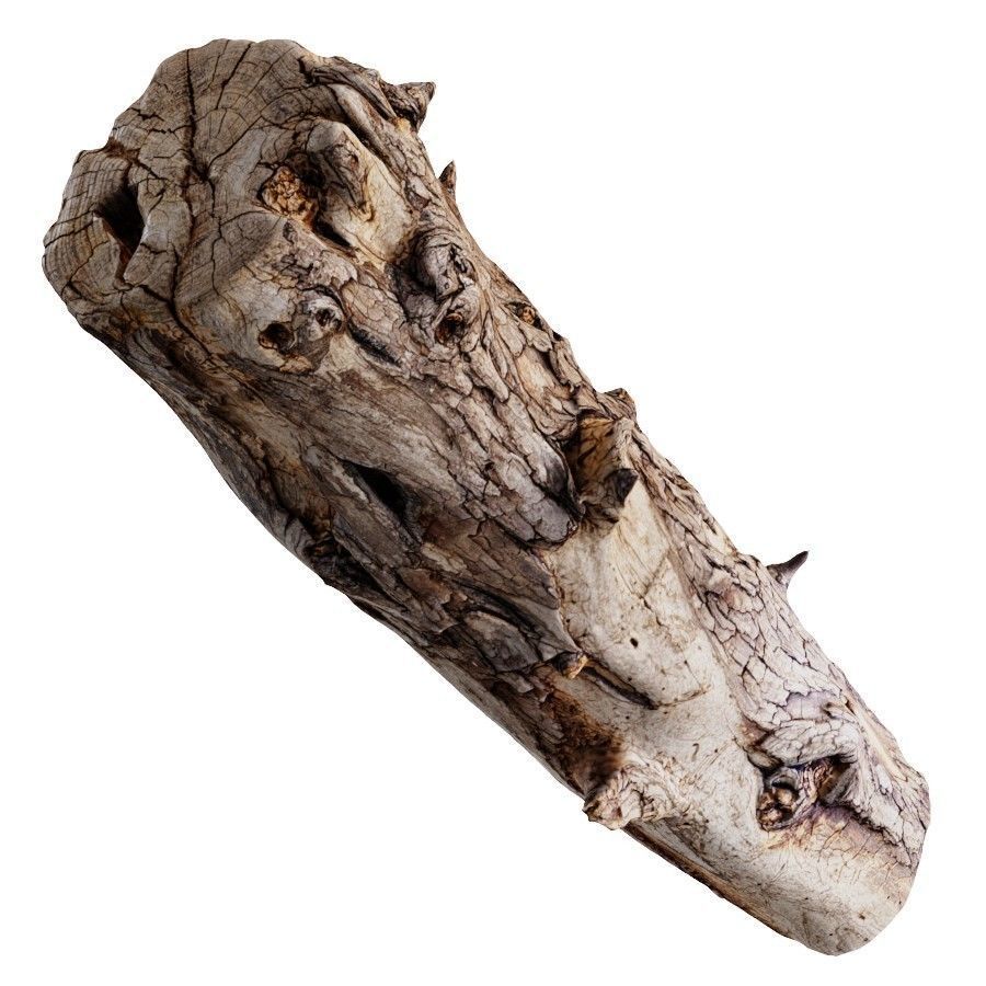 An Old Wooden Log 3D model_3