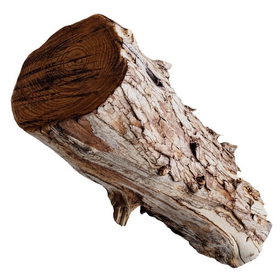 An Old Wooden Log 3D model_4