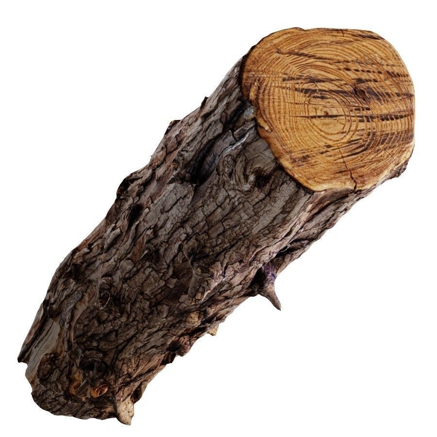 An Old Wooden Log 3D model_2