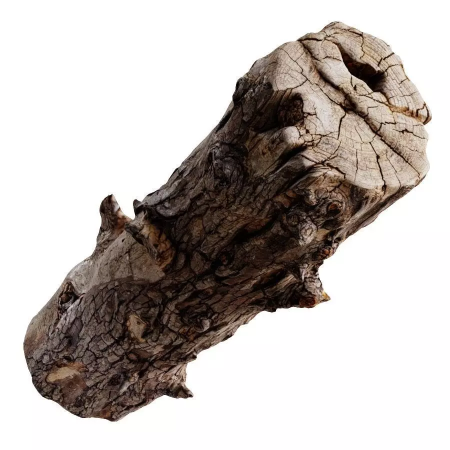 An Old Wooden Log 3D model_0