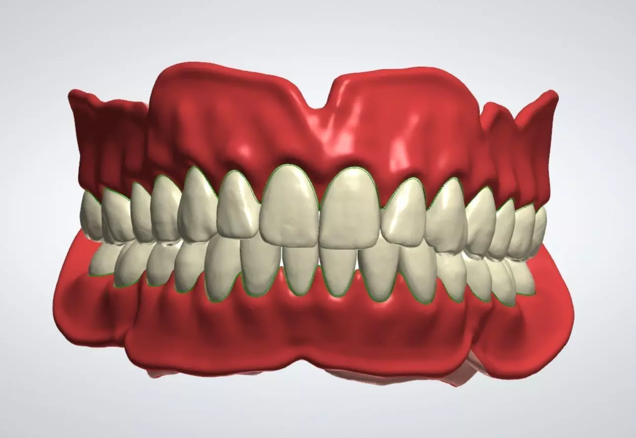 Digital denture Teeth with roots 3D model_0