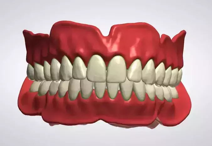 Digital denture Teeth with roots