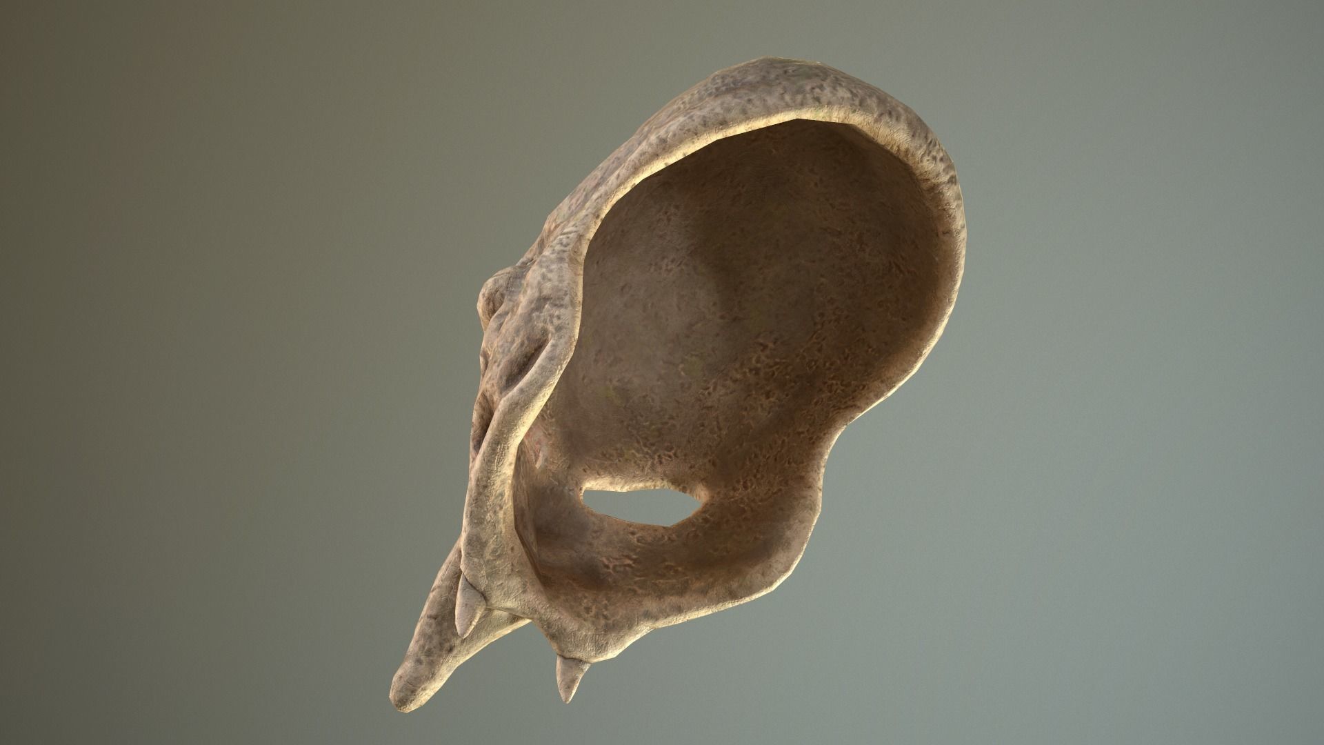 Skull mask Low-poly 3D model_11